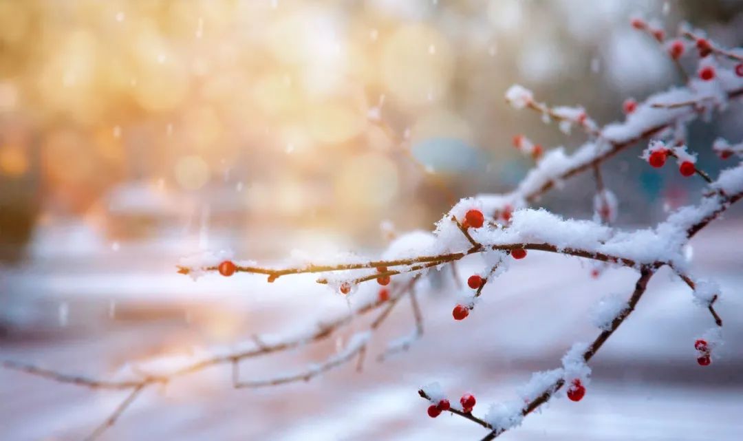 描写雪景的诗句 雪景诗句