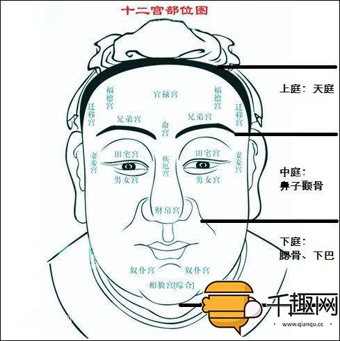 天庭饱满地阁方圆 地阁方圆天庭饱满面相