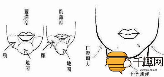 天庭饱满地阁方圆 地阁方圆天庭饱满面相