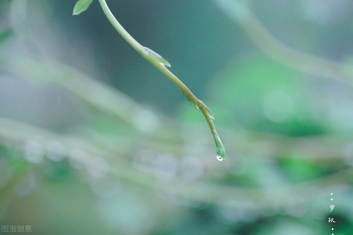 梅雨季节是什么时候 2023年梅雨季节起止日期