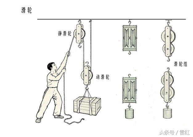 定滑轮和动滑轮 定滑轮和动滑轮教案