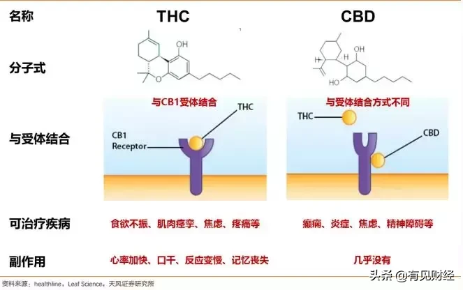 真龙香烟价格 真龙烟全部价格表