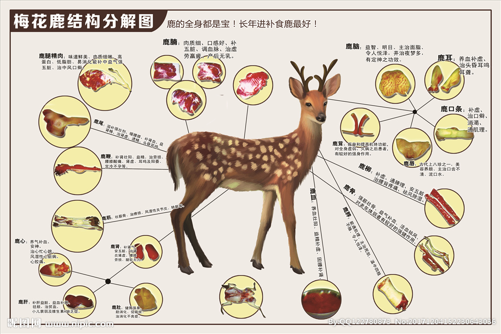 鹿角胶的功效与作用 鹿角胶多少钱一斤