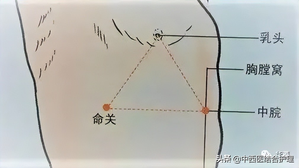 关元的准确位置图 找关元穴最笨的方法