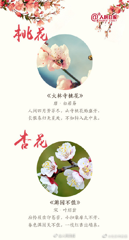 关于桃花最出名的诗句 桃花最经典诗句