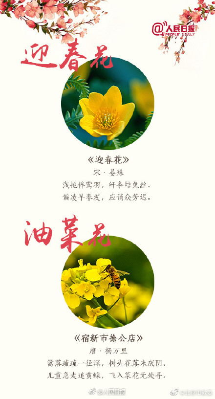 关于桃花最出名的诗句 桃花最经典诗句