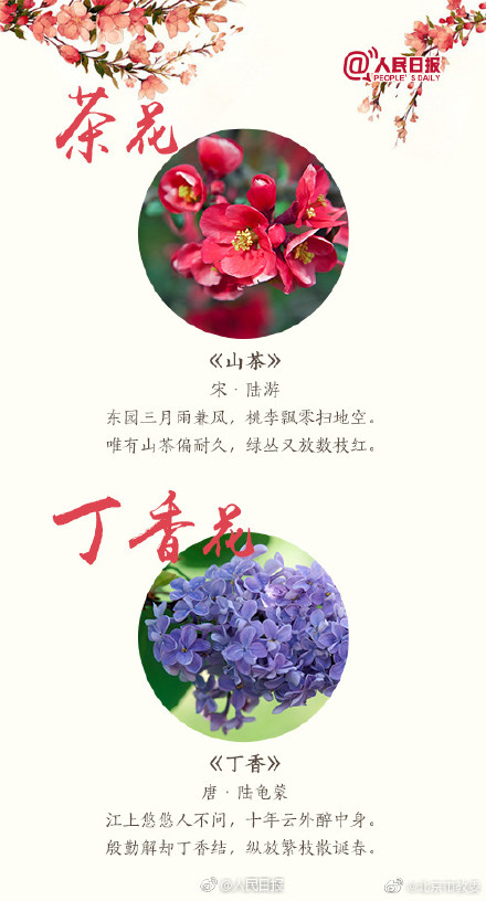 关于桃花最出名的诗句 桃花最经典诗句