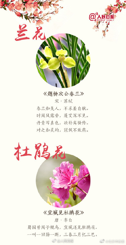 关于桃花最出名的诗句 桃花最经典诗句