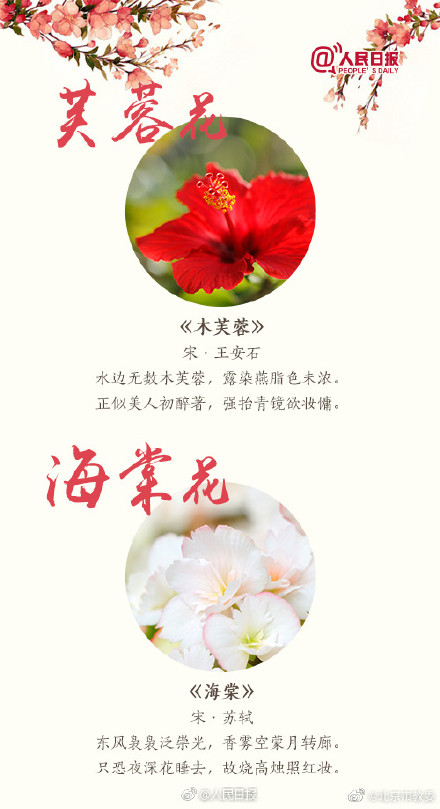 关于桃花最出名的诗句 桃花最经典诗句