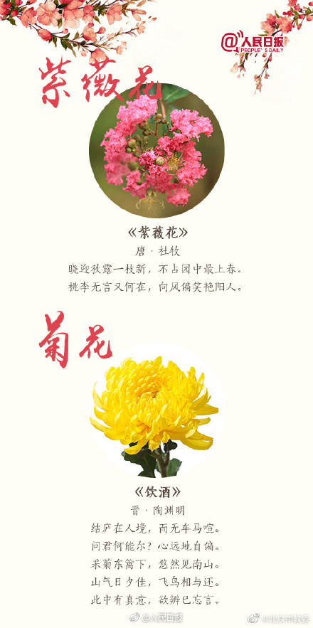 关于桃花最出名的诗句 桃花最经典诗句