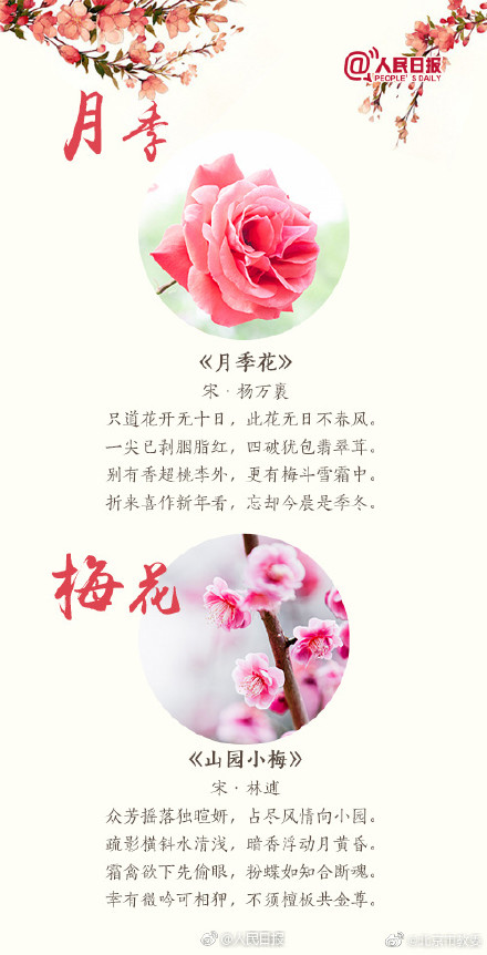 关于桃花最出名的诗句 桃花最经典诗句