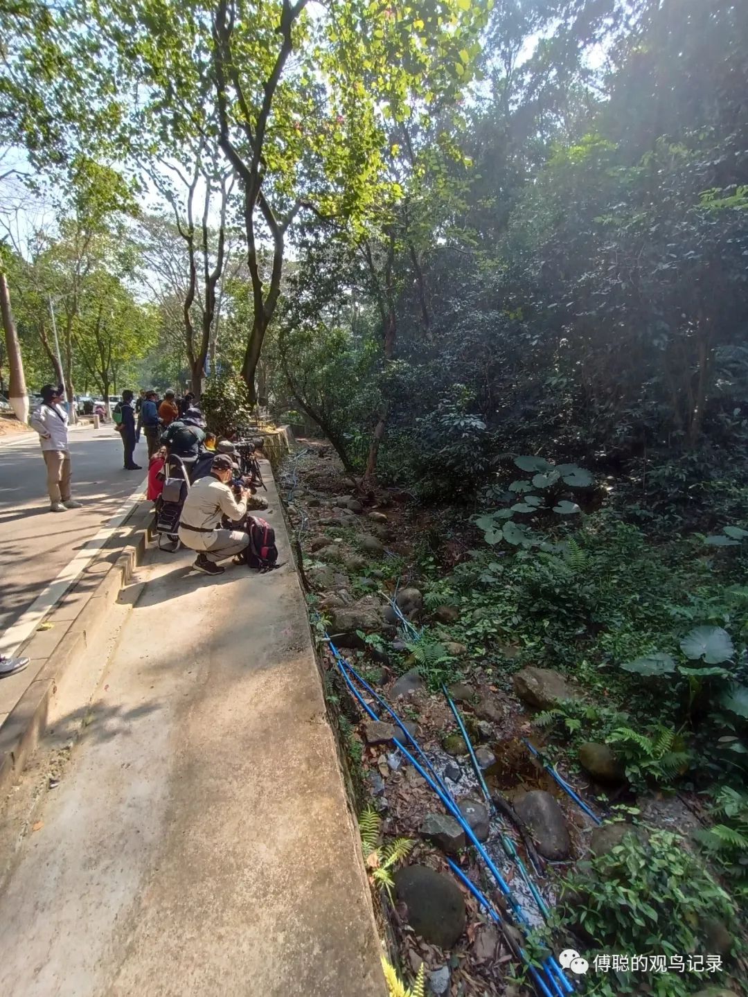 火炉山森林公园 衡阳旅游景点攻略