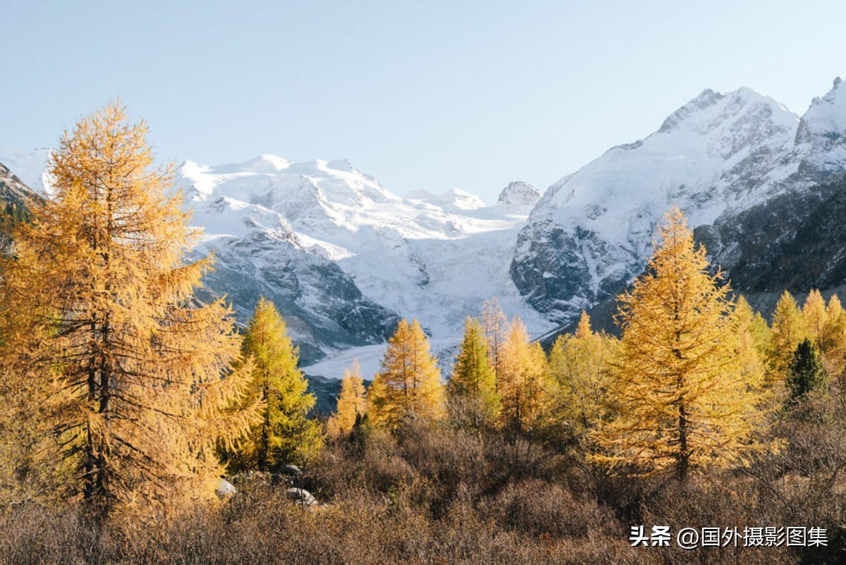 阿尔卑斯山在哪 阿尔卑斯山在哪个州