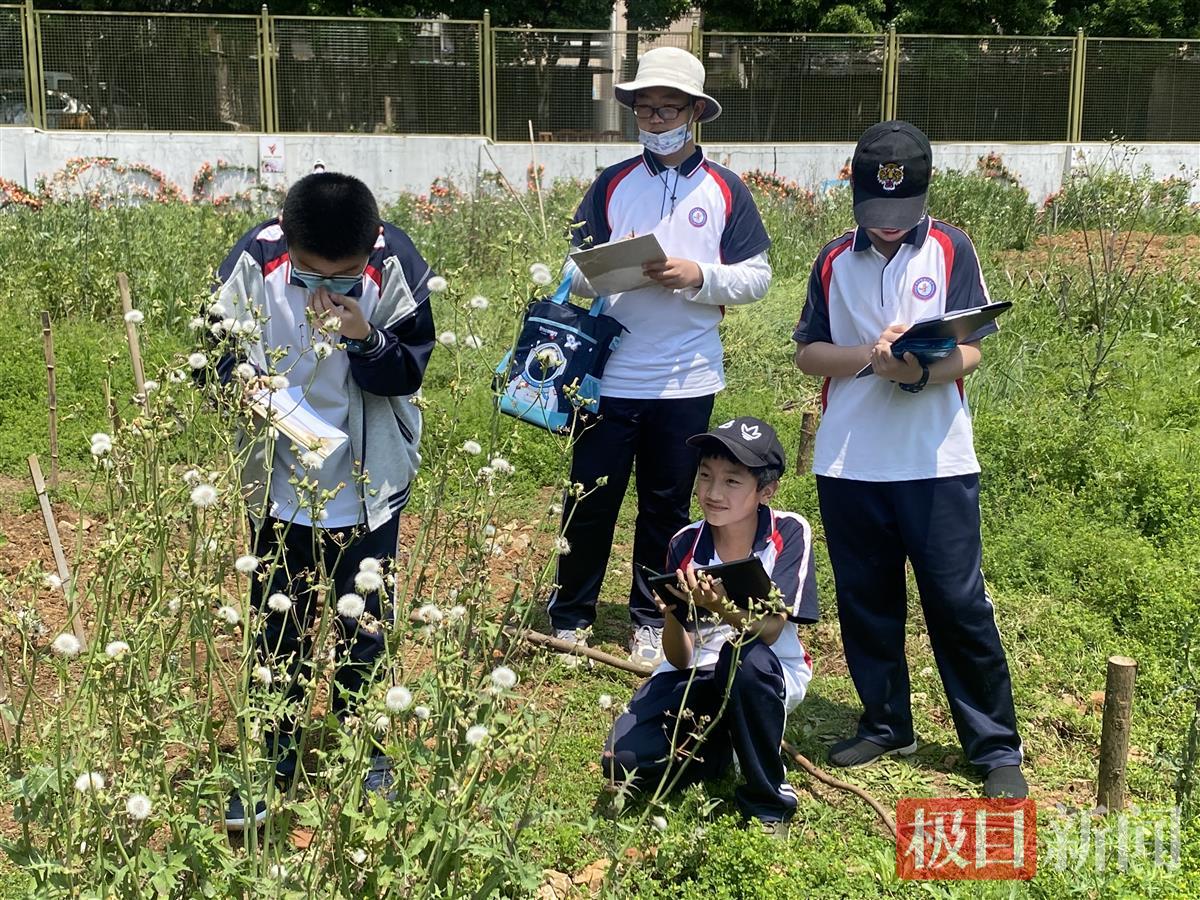 华师一附中初中部 华师一附中有多难考