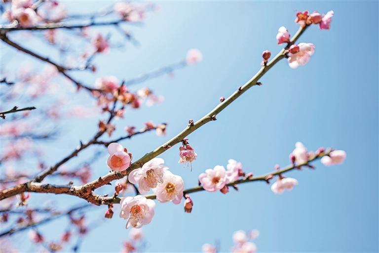 红岭中学高中部 红岭中学高中部学费