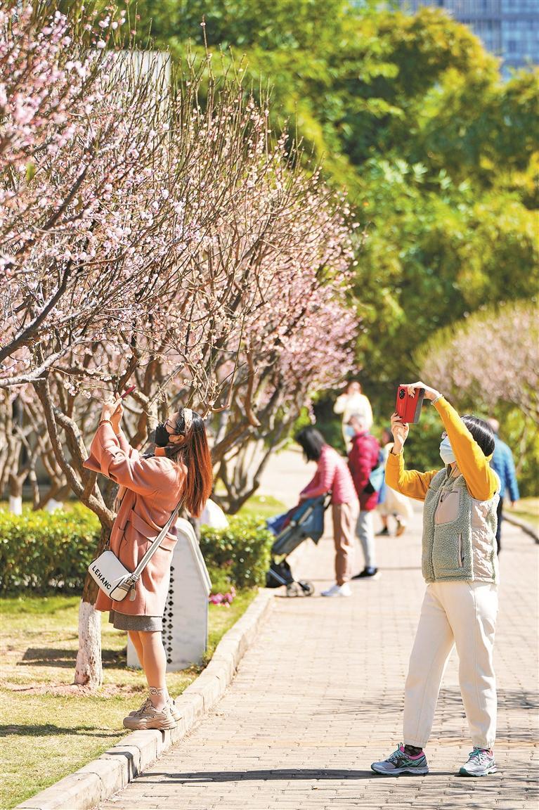 红岭中学高中部 红岭中学高中部学费