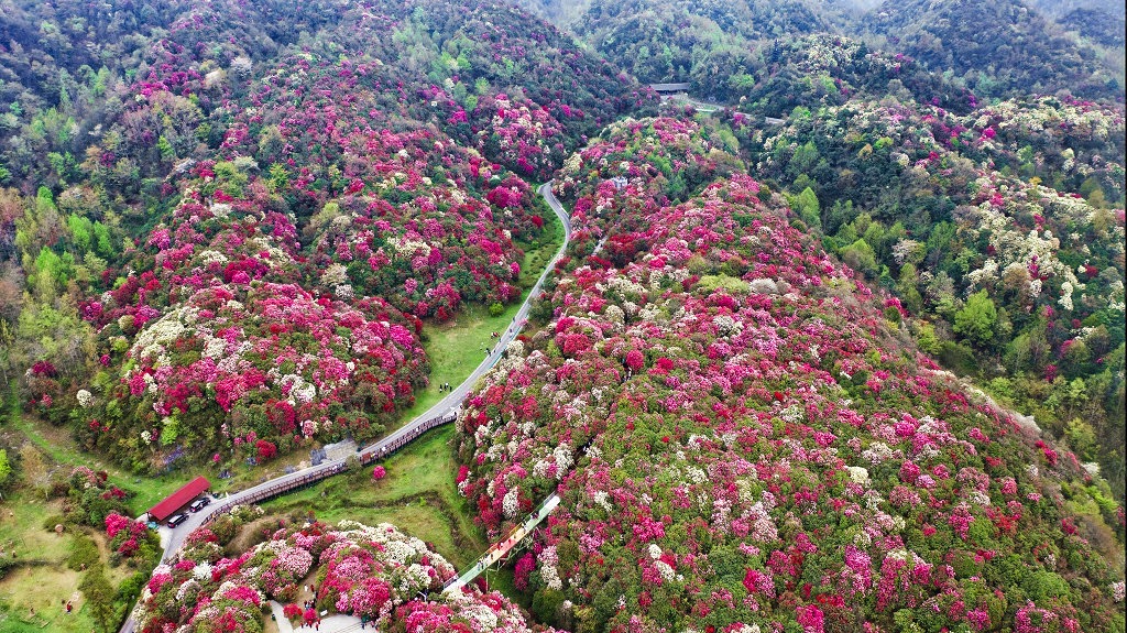 贵州游玩攻略 贵州游玩十大景点推荐