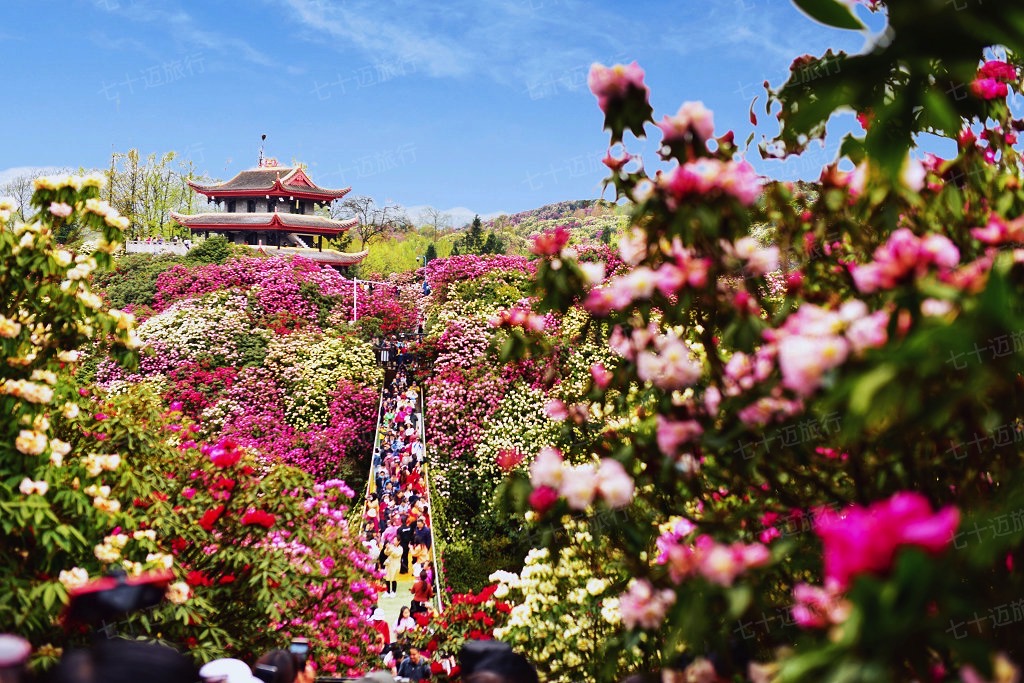 贵州游玩攻略 贵州游玩十大景点推荐