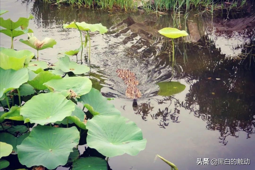 北京有哪些名胜古迹 北京有什么好玩的地方