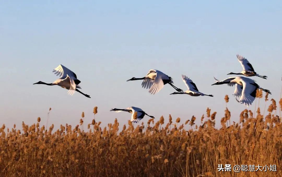 全国旅游景点 附近免费旅游景点