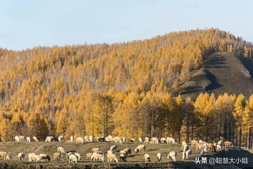 全国旅游景点 附近免费旅游景点