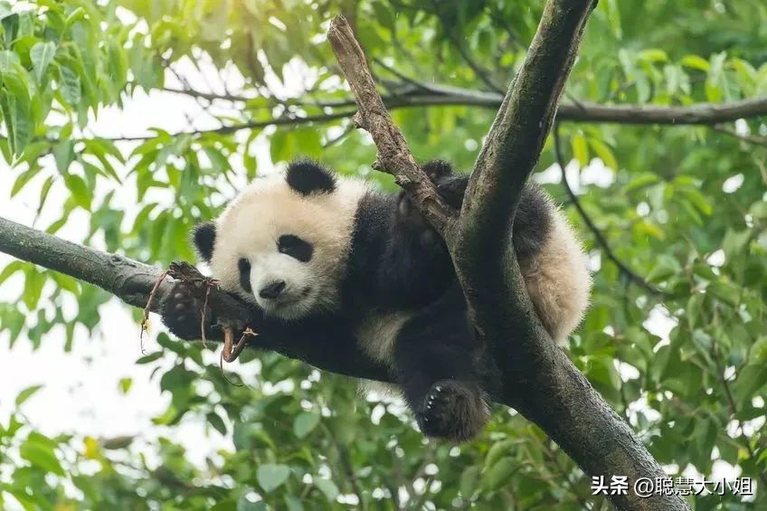 全国旅游景点 附近免费旅游景点