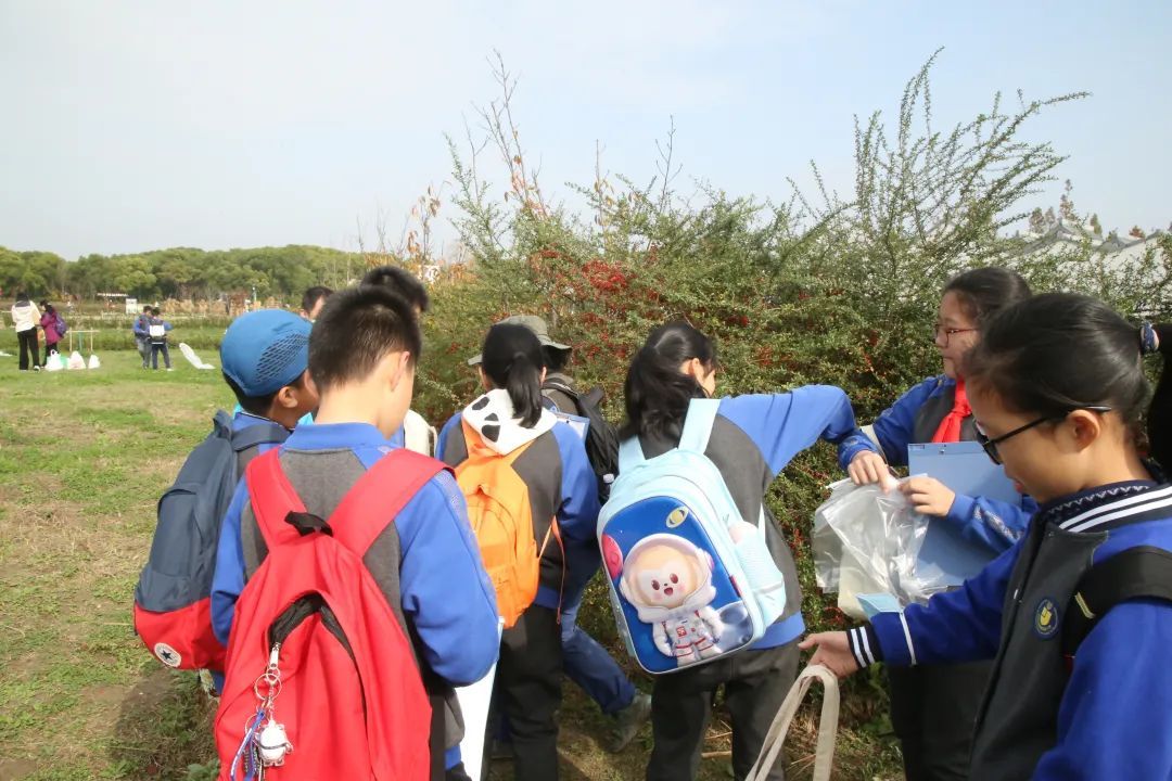 种子的传播方式 种子的传播方式仿写