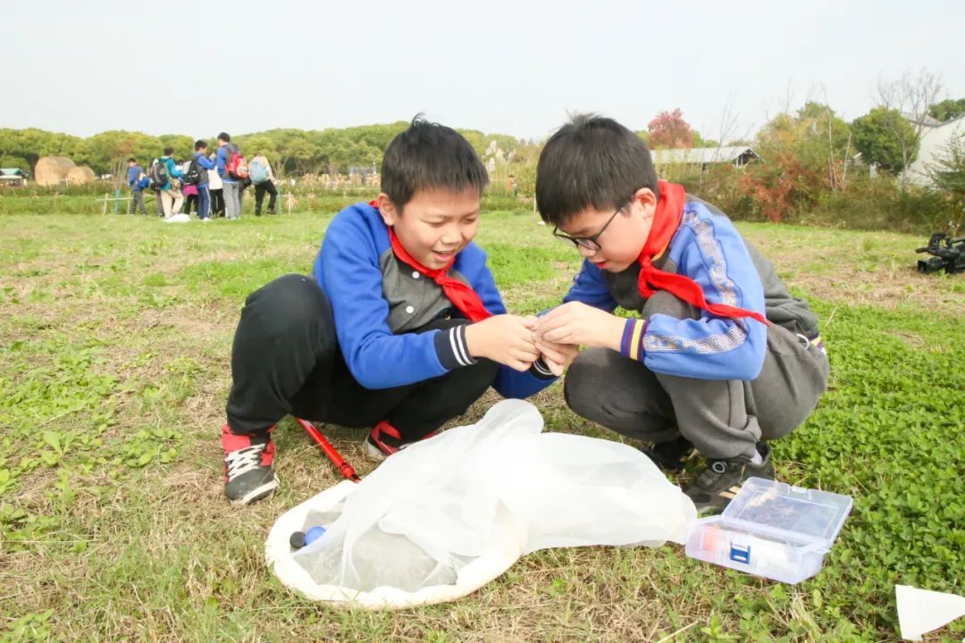 种子的传播方式 种子的传播方式仿写