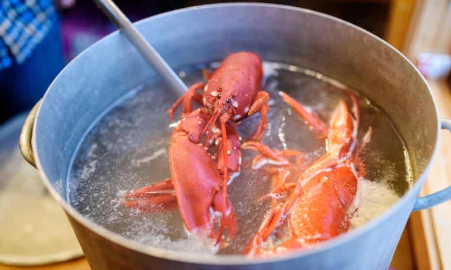 螃蟹煮多久可以吃 螃蟹放了一晚上死掉了
