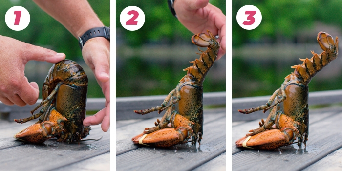 螃蟹煮多久可以吃 螃蟹放了一晚上死掉了