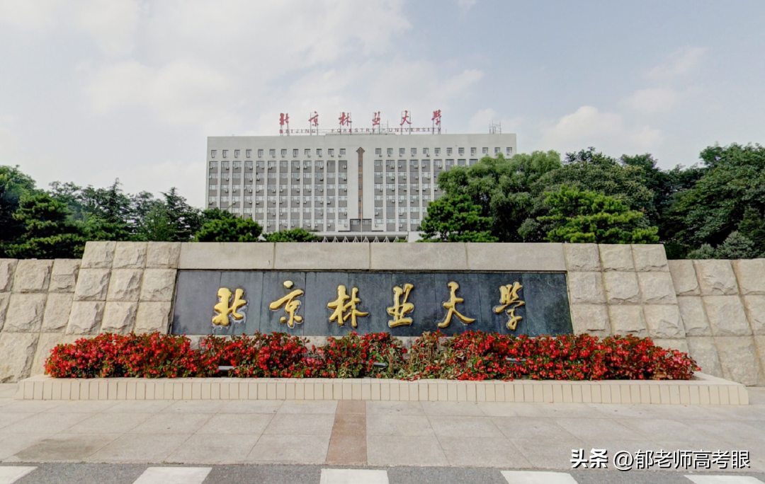 北京林业大学排名 北京林业大学全国排名