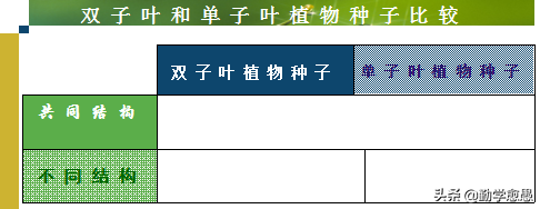 种子怎么用 种子文件怎么用