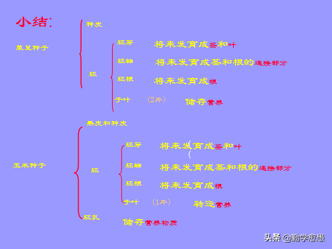 种子怎么用 种子文件怎么用