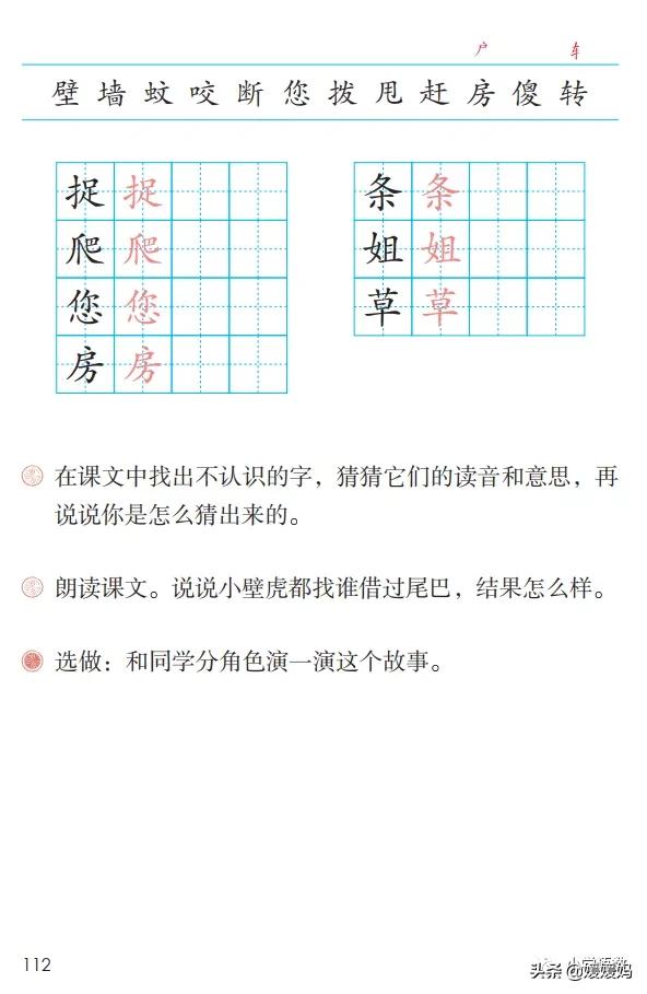 袋鼠的尾巴有什么作用 松鼠的尾巴能干什么