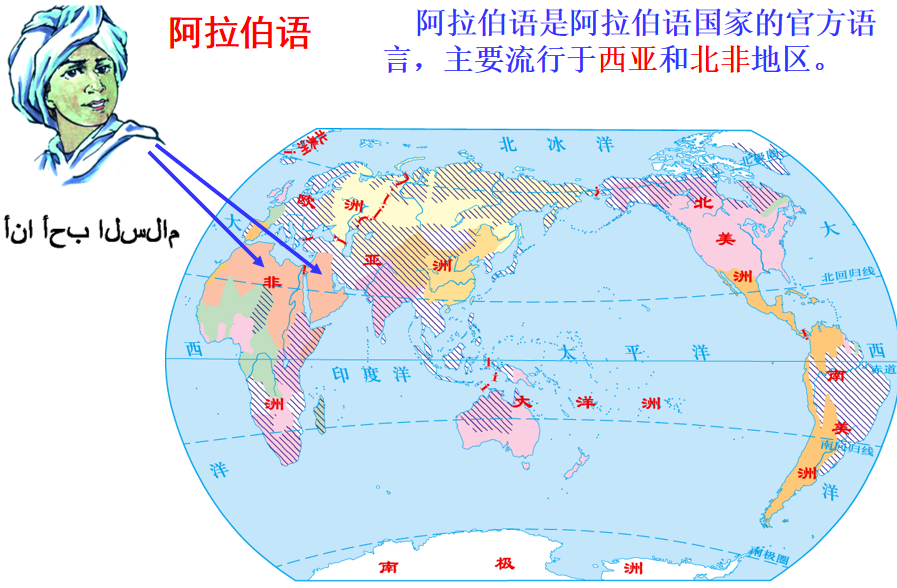 世界语言分布图 世界人口语言分布图