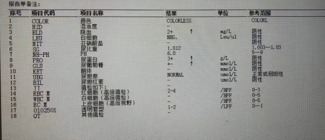 肾脏不好的症状 肾不好的早期信号