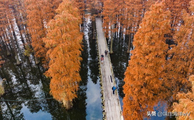 上海旅游必去景点 上海两日游最佳攻略