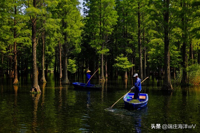 上海旅游必去景点 上海两日游最佳攻略