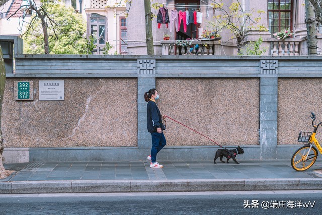 上海旅游必去景点 上海两日游最佳攻略