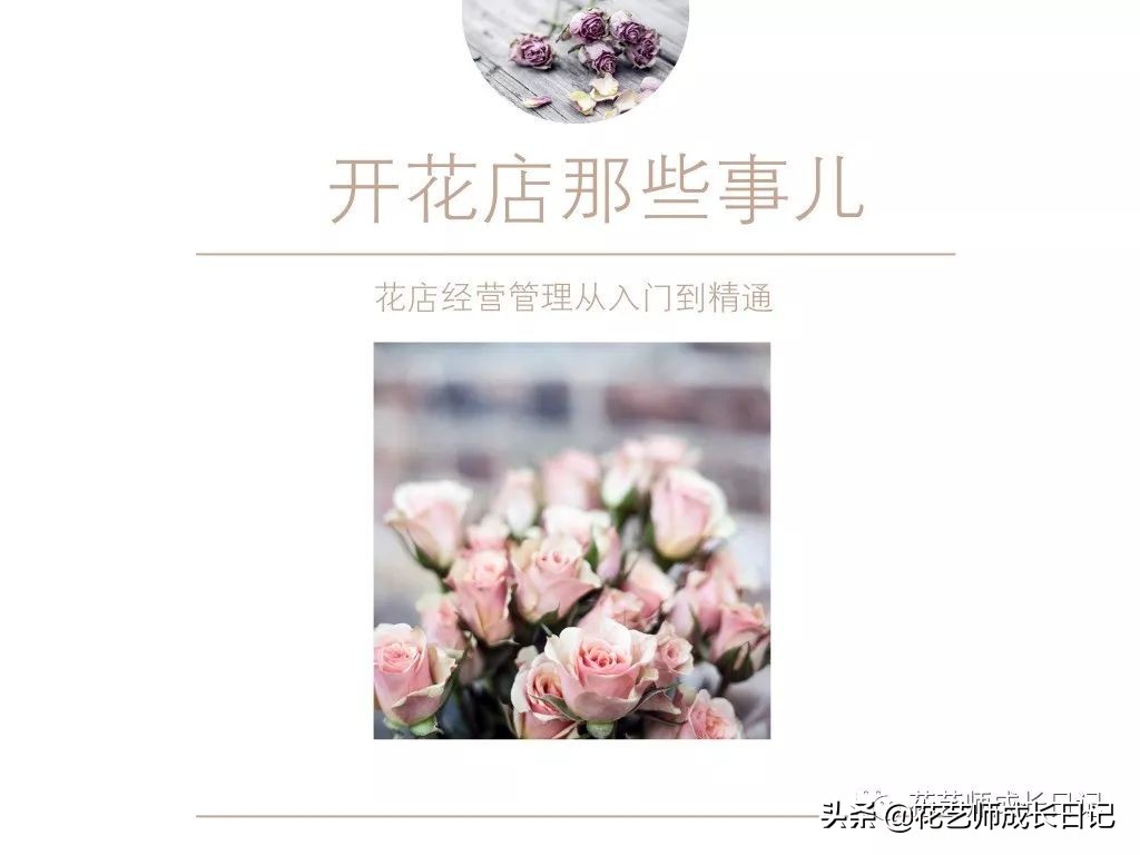 郁金香的花语是什么 郁金香黄色花语