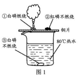 红磷燃烧的现象 木炭在氧气中燃烧