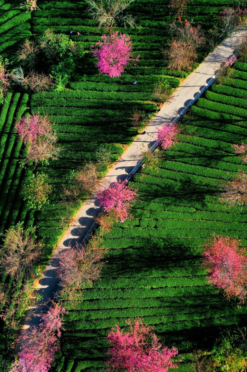 中国风景名胜 中国各地风景名胜