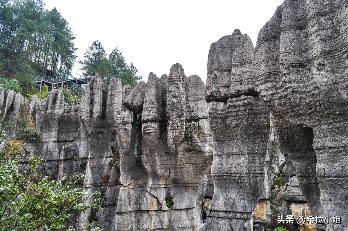 重庆周边旅游 重庆网红打卡景点