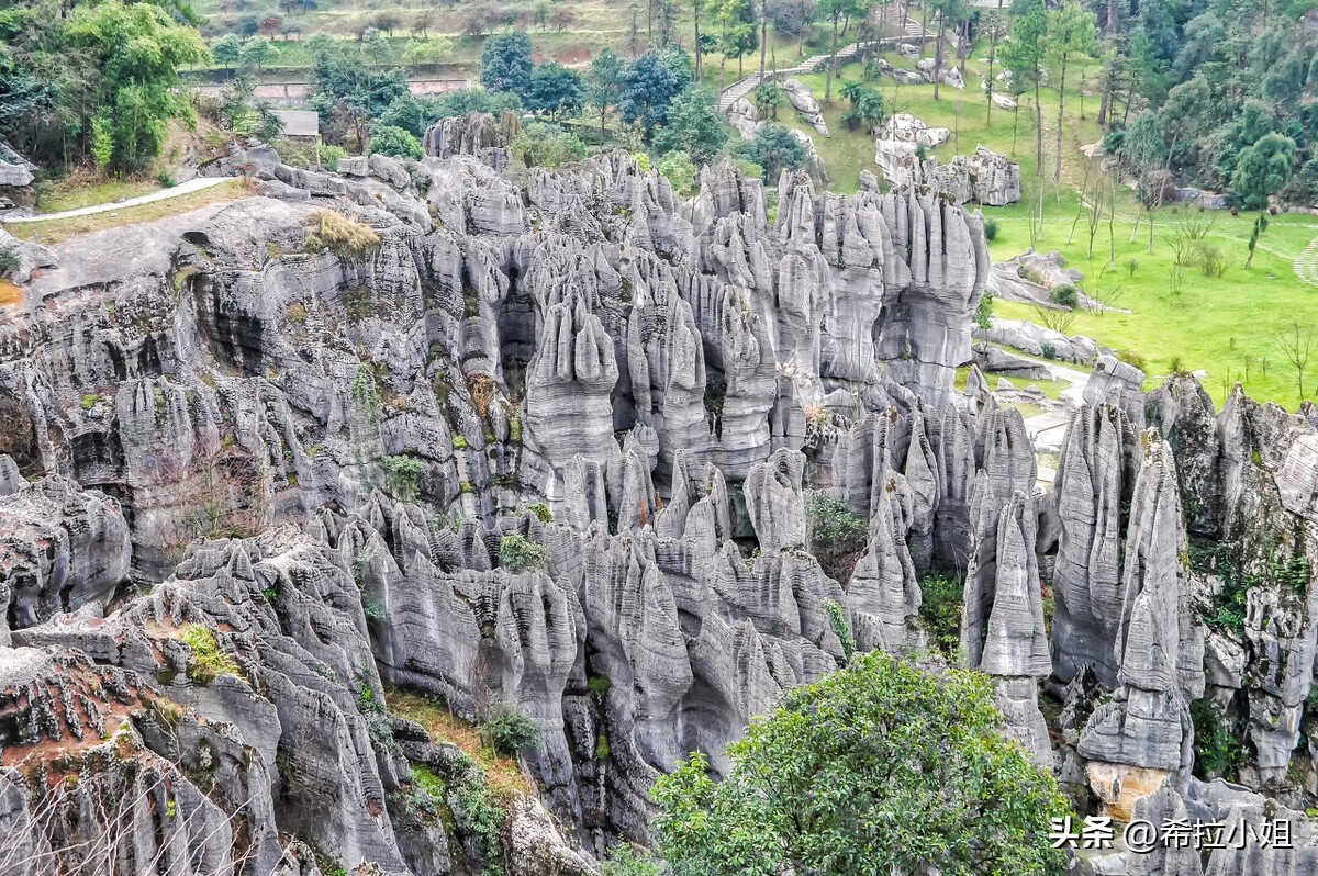 重庆周边旅游 重庆网红打卡景点