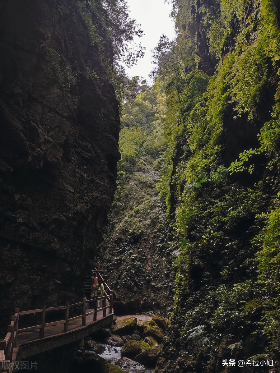 重庆周边旅游 重庆网红打卡景点