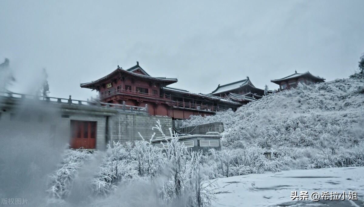 重庆周边旅游 重庆网红打卡景点