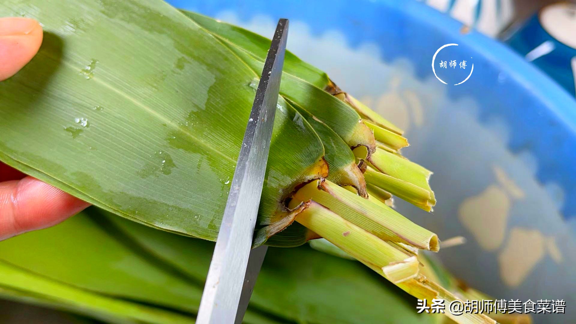 粽叶怎么处理才能包粽子 干粽叶怎么用来包粽子