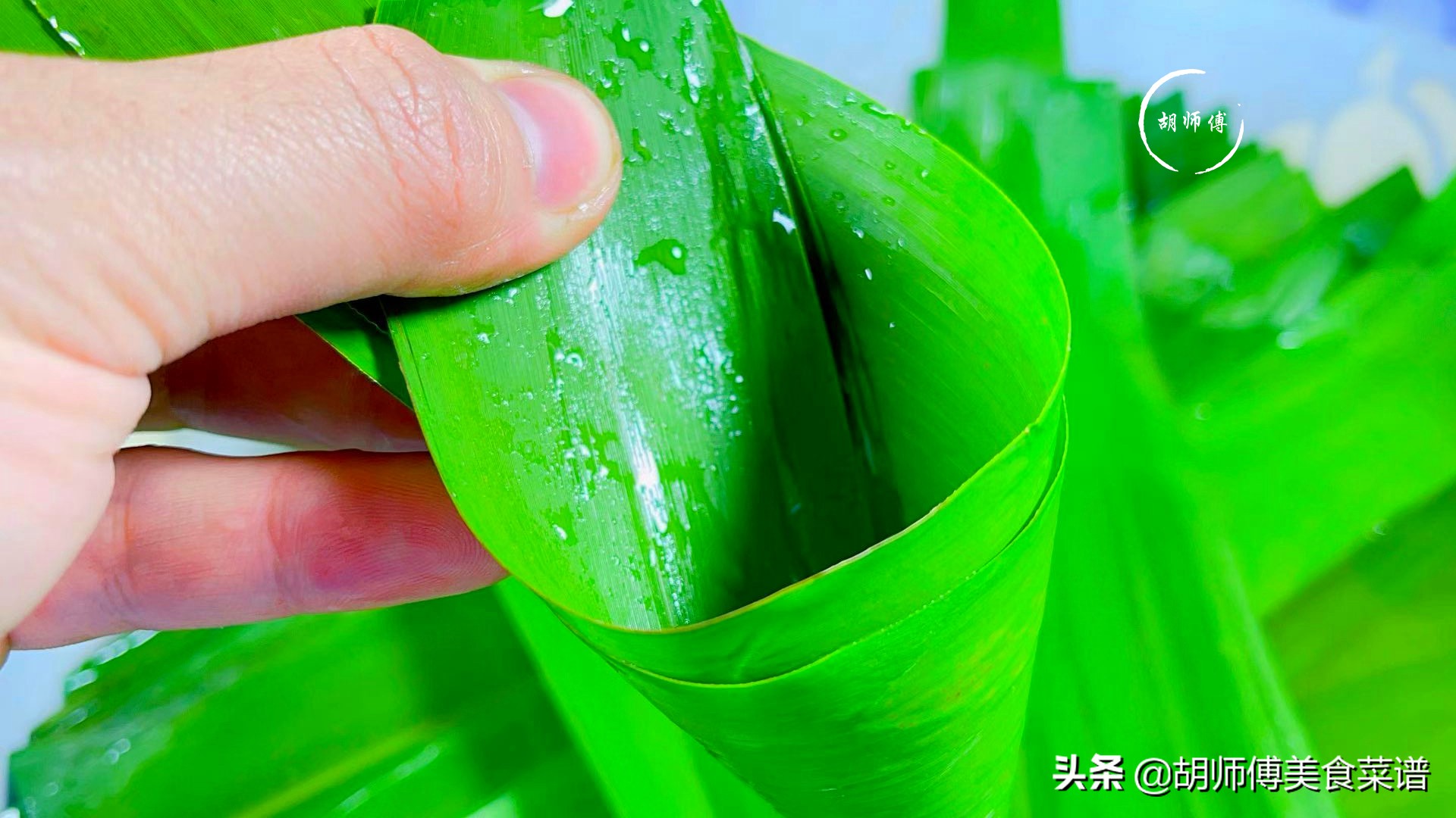 粽叶怎么处理才能包粽子 干粽叶怎么用来包粽子