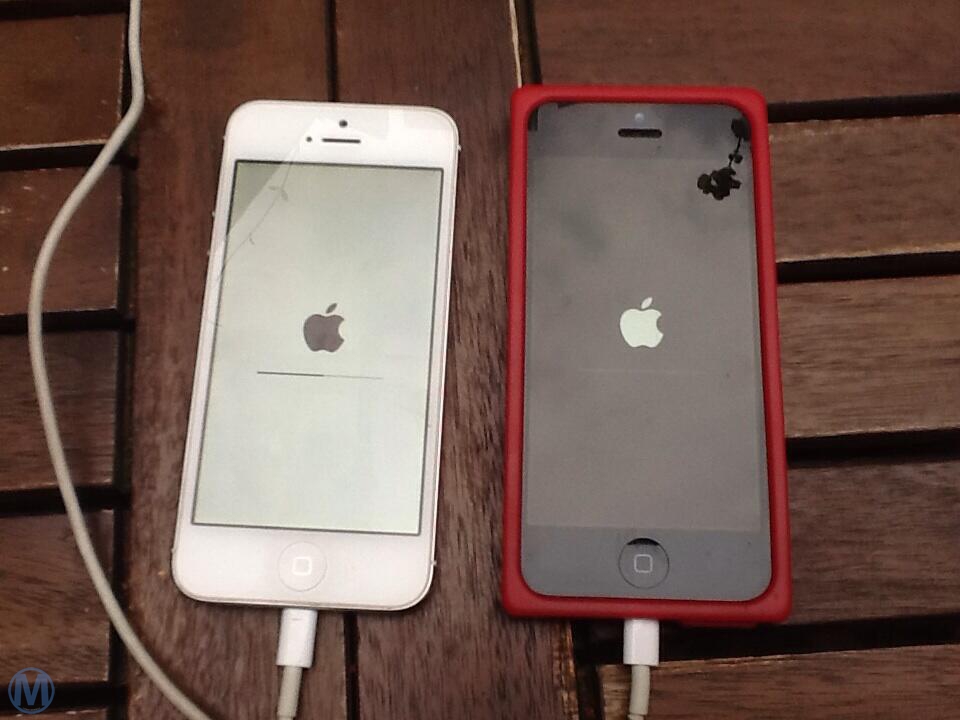 iphone白苹果 iphone白苹果无法开机