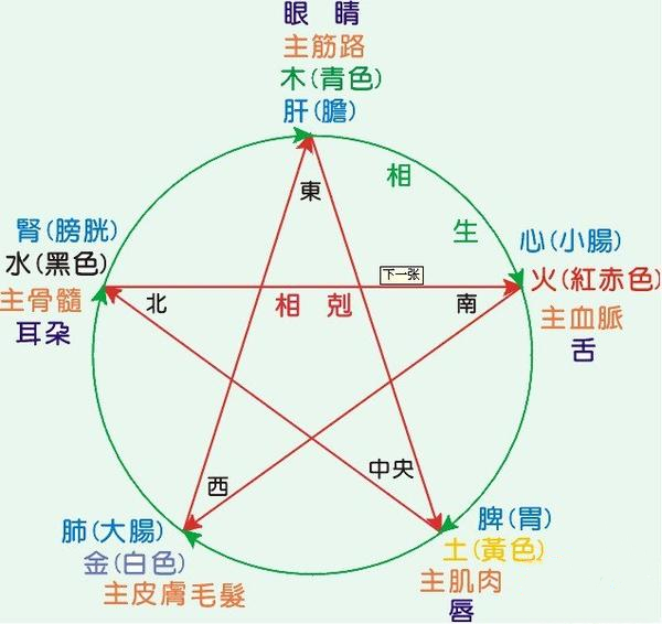 人体器官分五脏六腑器官分布图 下半身一边痛什么原因